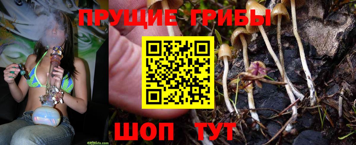 Псилоцибиновые грибы мухоморы Владимир