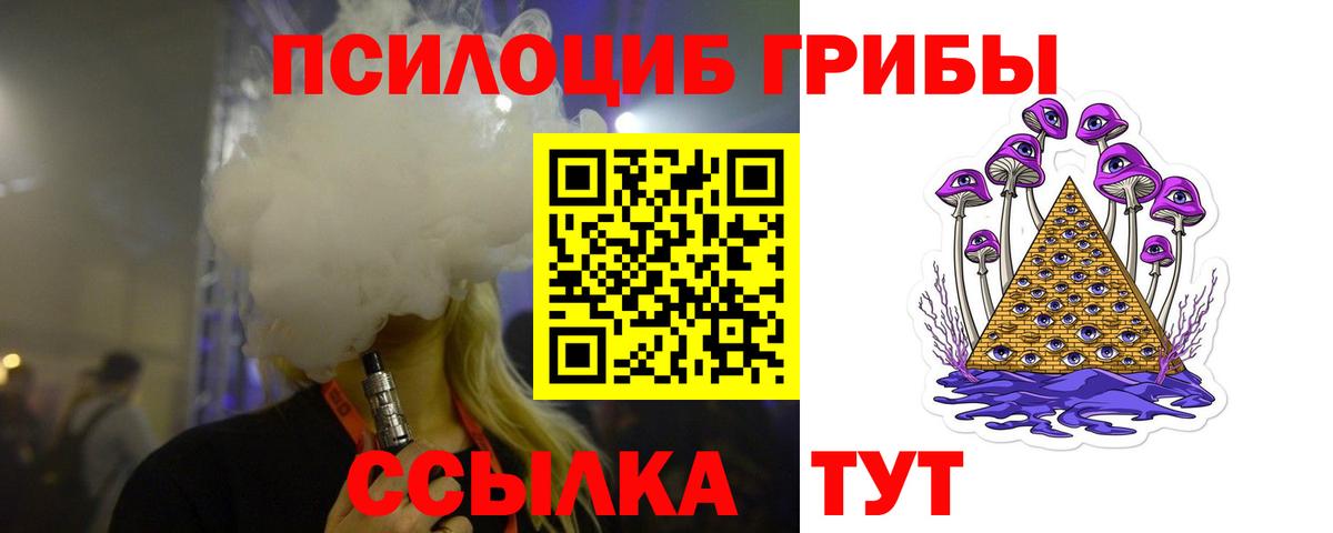Владимир  Псилоцибиновые грибы мицелий  Вход с VPN 